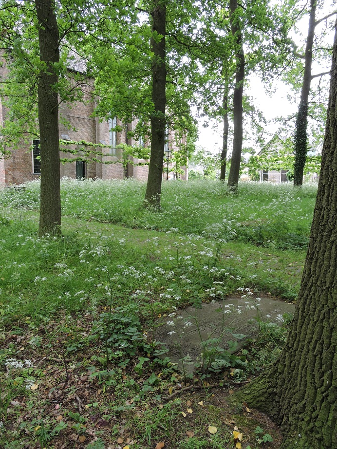 Afb. 3. Op de achtergrond het oude kerkje van Diepenveen met op de voorgrond het Van Heeckeren graf.